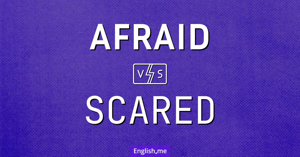 "Afraid" (Peur / Effrayé(e)) contre "Scared" (Effrayé(e) / Terrifié(e))