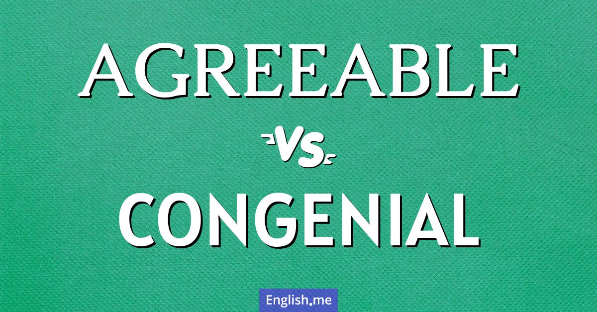 "Agreeable" (agréable) contre "Congenial" (sympathique)