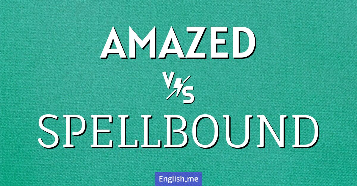 "Amazed" (émerveillé, stupéfait) contre "Spellbound" (ensorcelé, captivé)