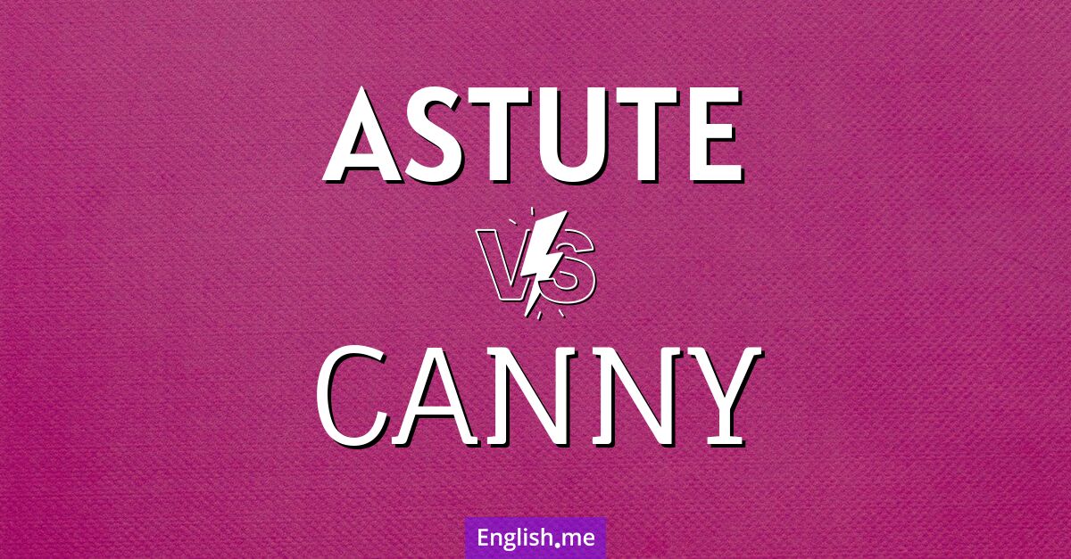 "Astute" (astucieux/astucieuse) contre "Canny" (malin/maligne)