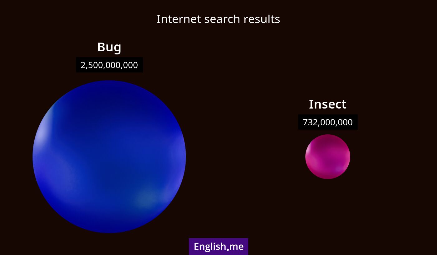 Internet search results for bug) and insect