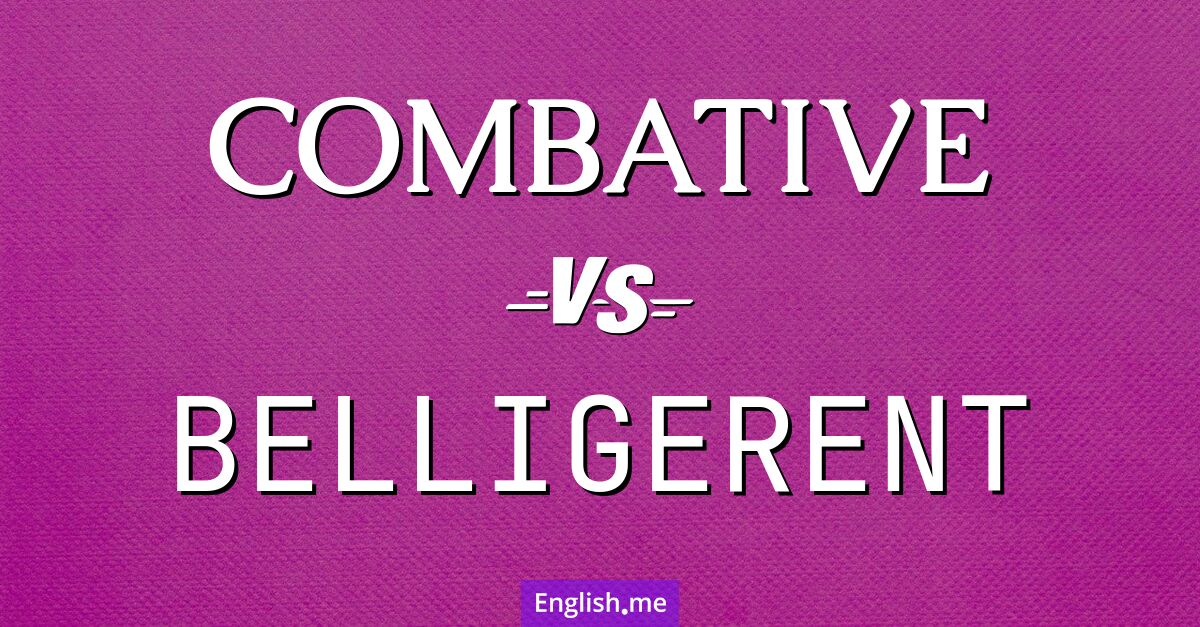 "Combative" (combatif/combative) contre "Belligerent" (belligérant/belligérante)