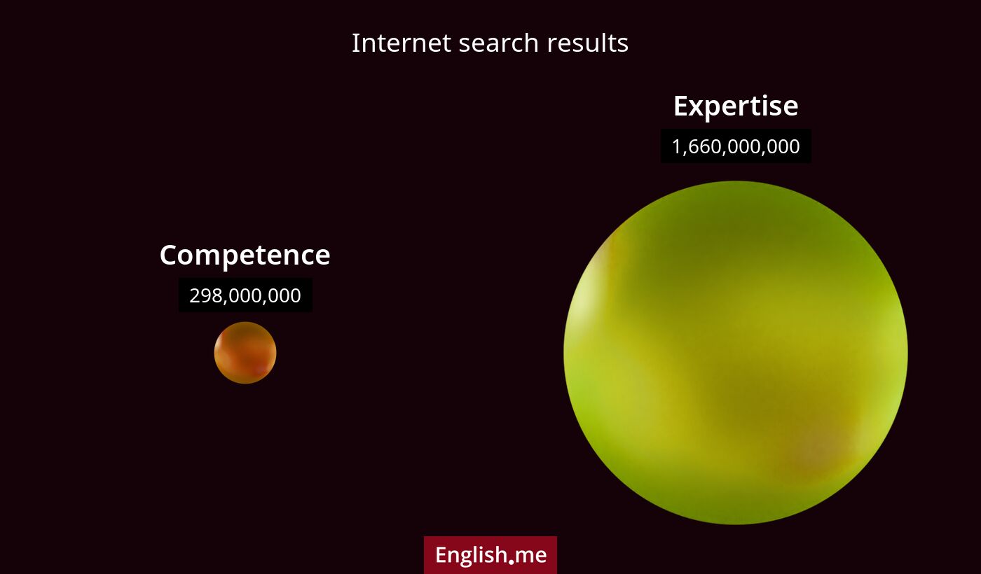 Internet search results for competence) and expertise