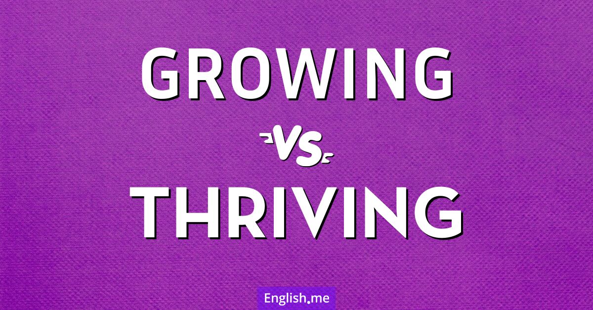 "Growing" (grandissant) contre "Thriving" (prospérant)