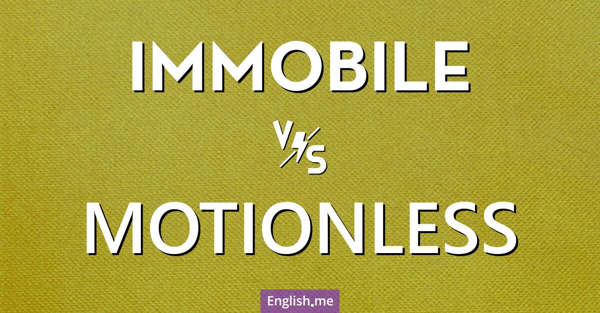 "Immobile" (immobile) contre "Motionless" (sans mouvement)