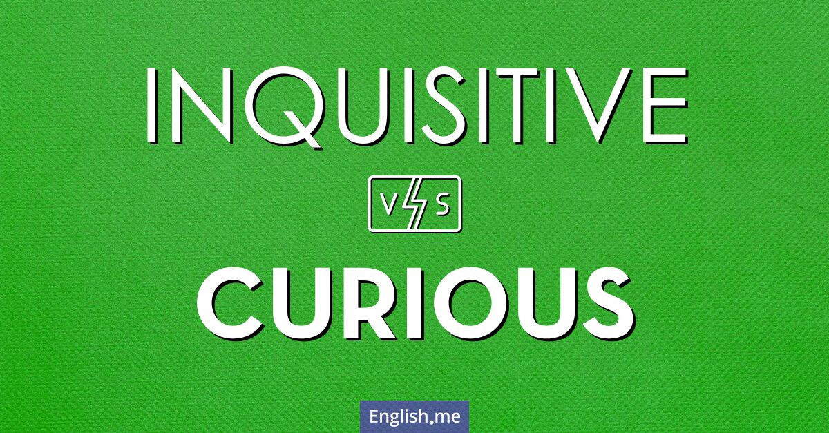 "Inquisitive" (inquisiteur) contre "Curious" (curieux)