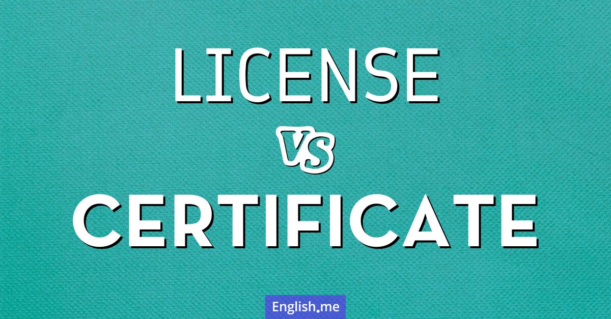 "License" (Licence) contre "Certificate" (Certificat)
