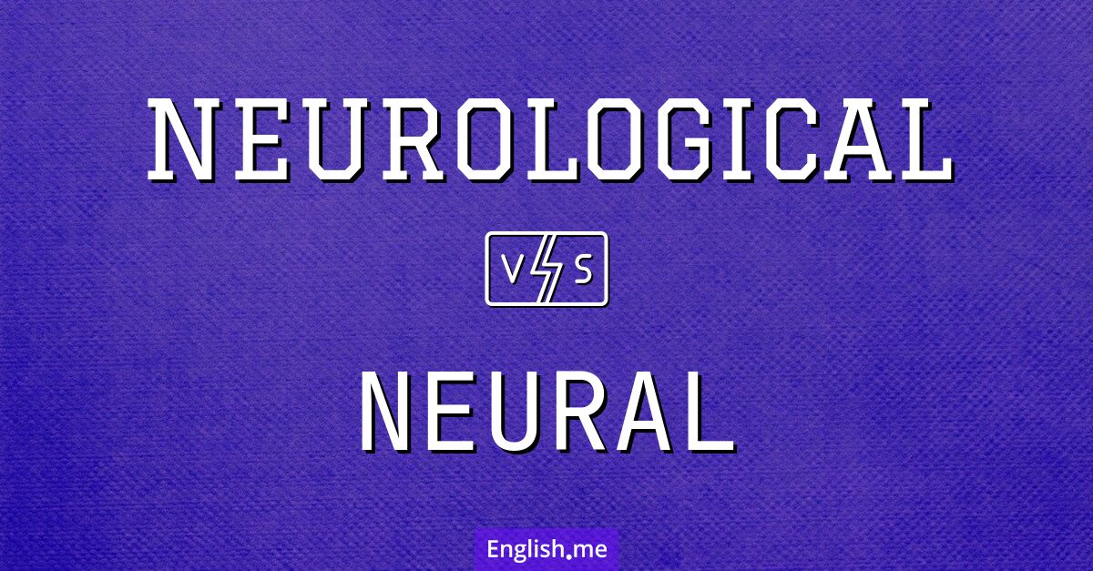 "Neurological" (neurologique) contre "Neural" (neural)