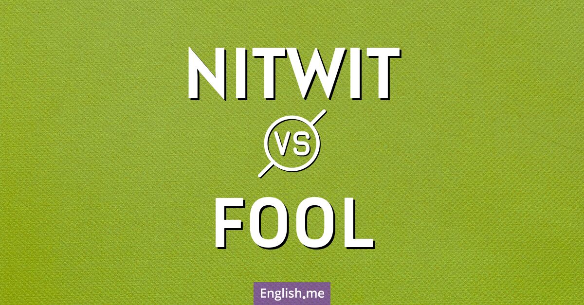 "Nitwit" (idiot) contre "Fool" (imbécile)