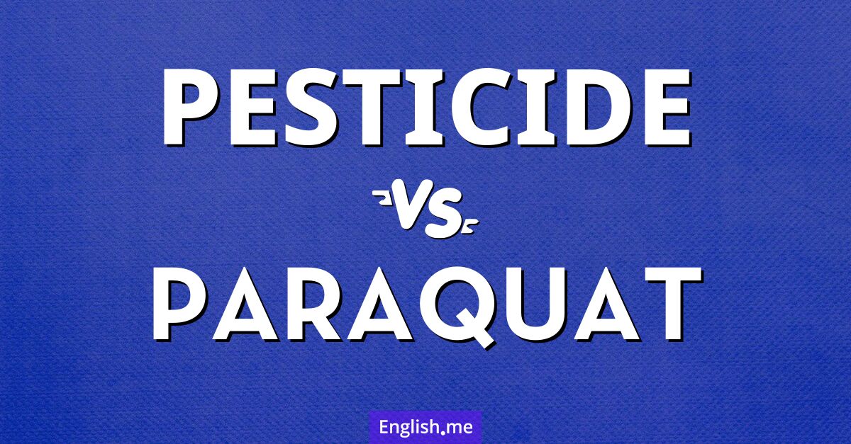 "Pesticide" (pesticide) contre "Paraquat" (paraquat)