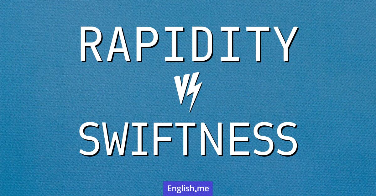 "Rapidity" (rapidité) contre "Swiftness" (vélocité ou promptitude)