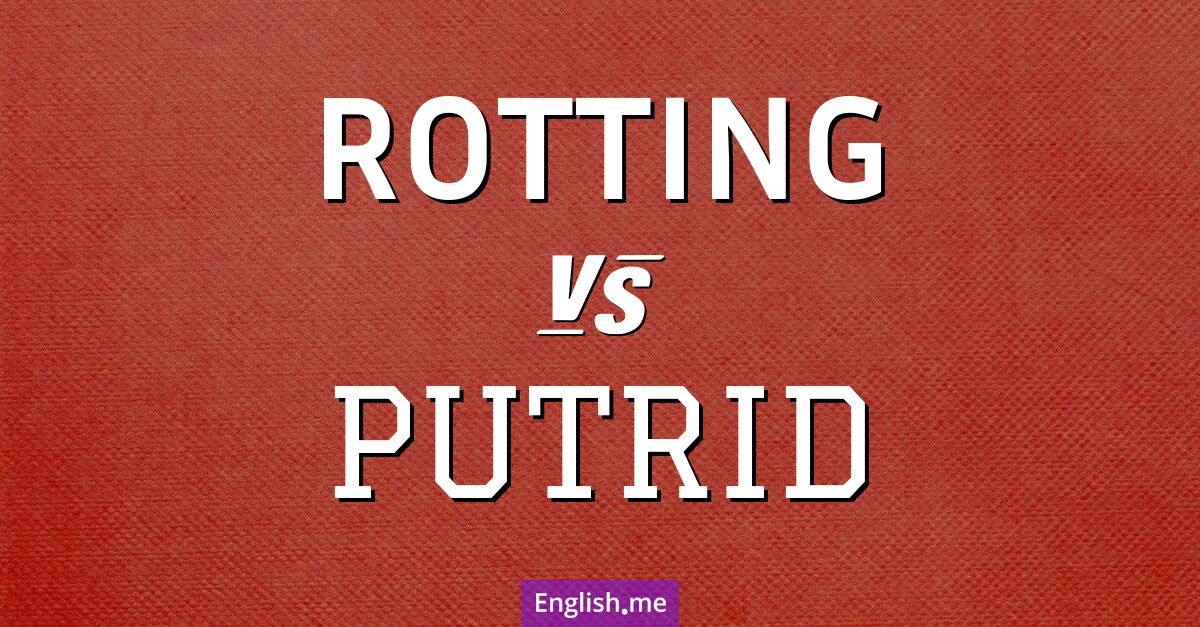 "Rotting" (en décomposition / pourrissant) contre "Putrid" (putride)