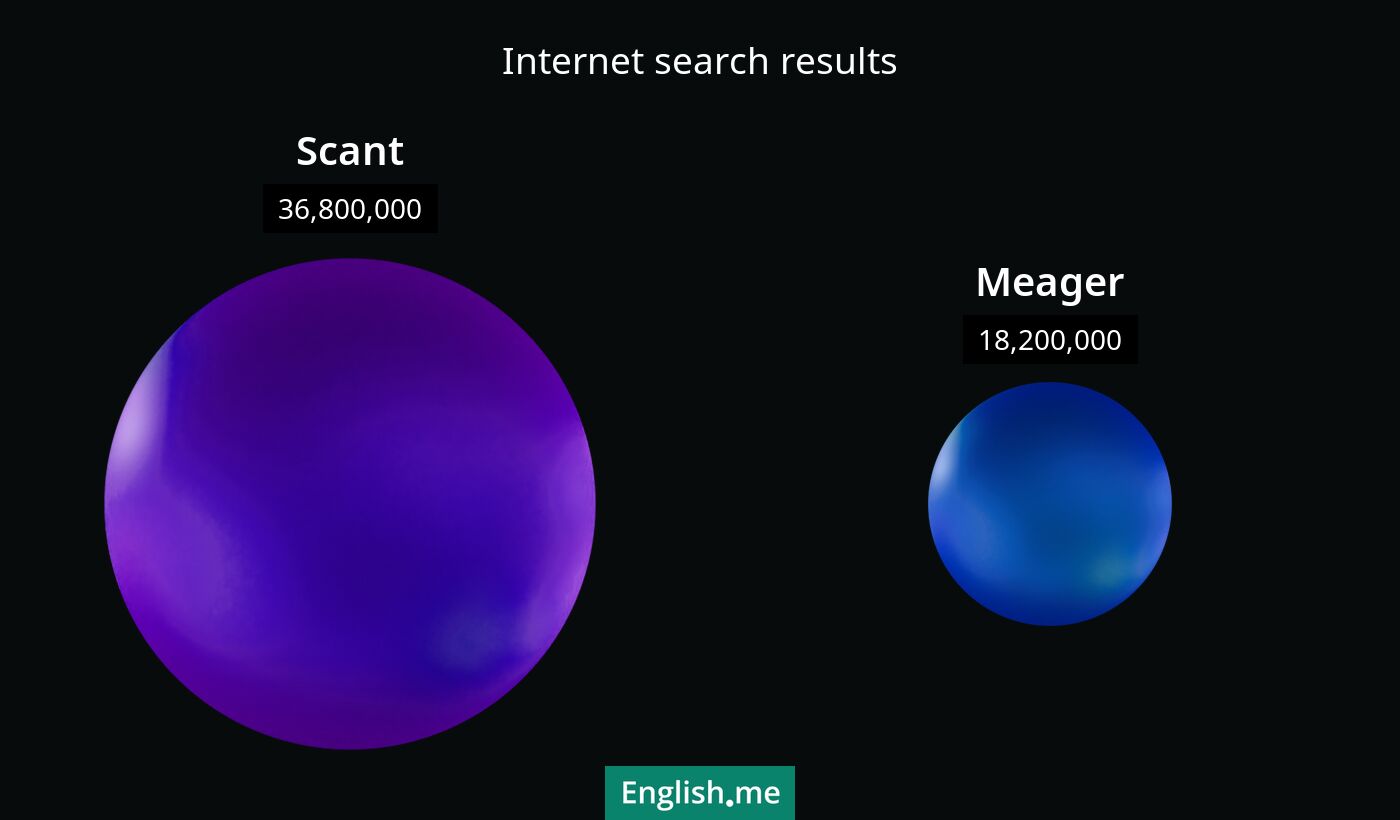 Internet search results for scant) and meager