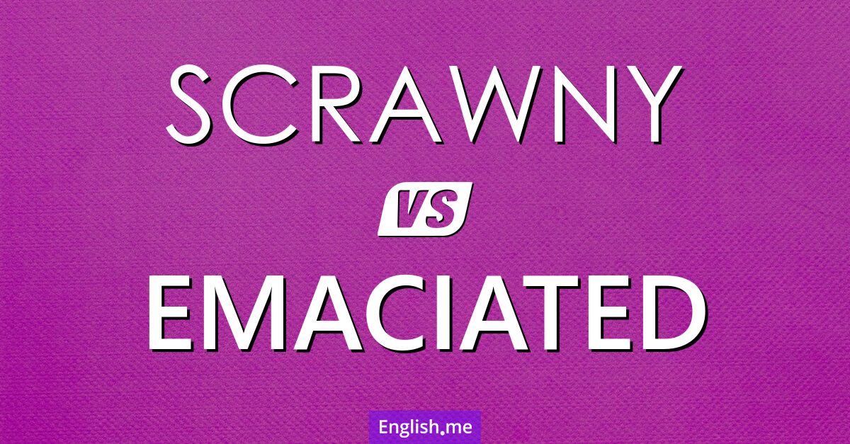 "Scrawny" (maigre) contre "Emaciated" (émacié)