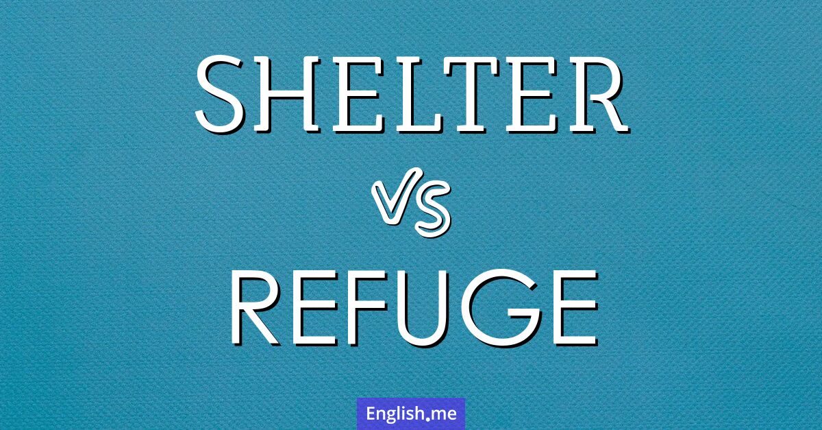 "Shelter" (abri) contre "Refuge" (refuge)