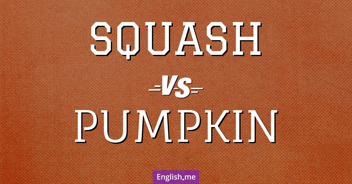 "Squash" (courge) contre "Pumpkin" (citrouille)
