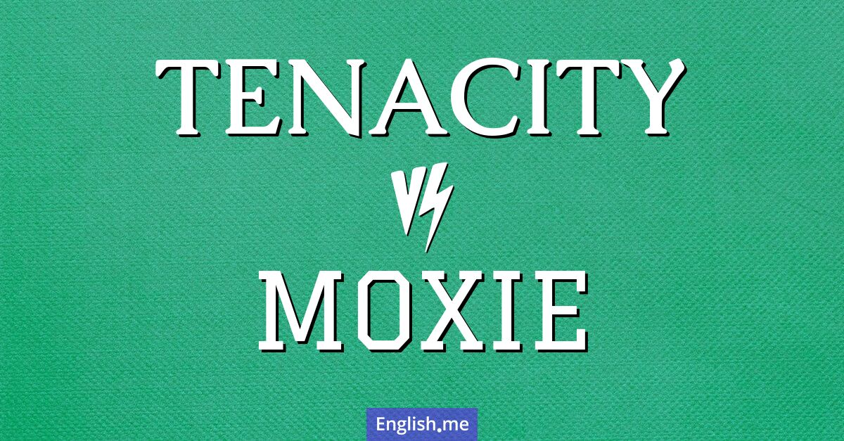 "Tenacity" (ténacité) contre "Moxie" (cran)