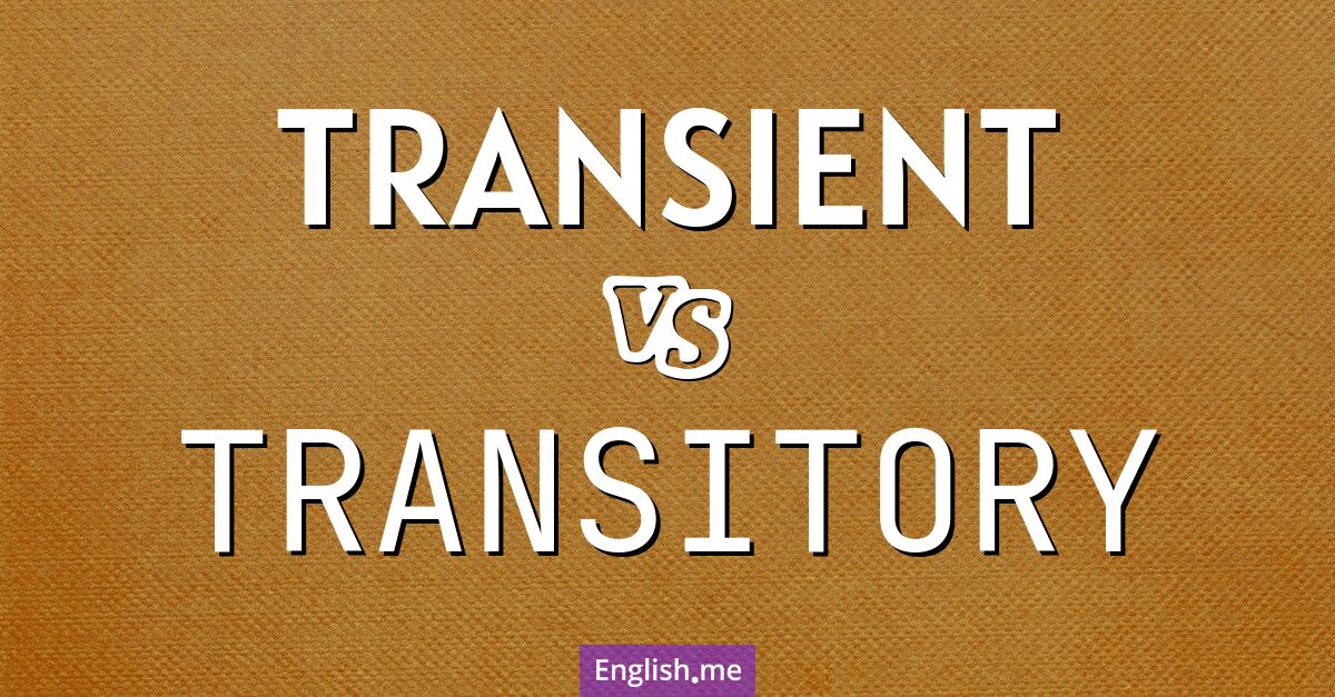Transient and transitory. What's the difference?