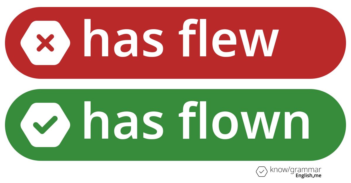 Pourquoi "has flew" est incorrect en anglais?