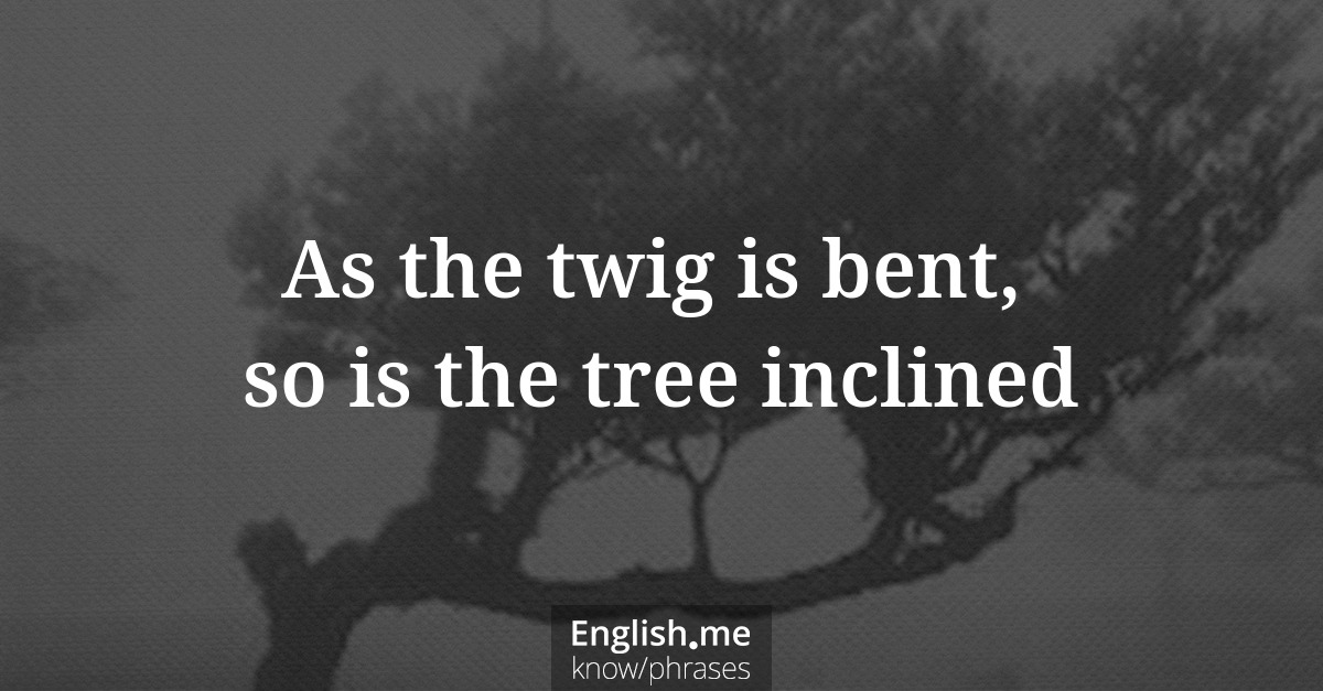 Explication de l'expression “As the twig is bent, so is the tree inclined”