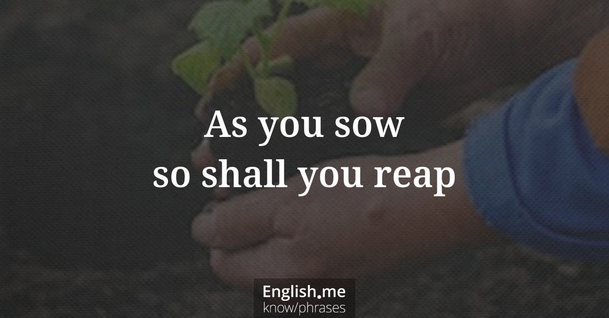 Explication de l'expression “As you sow so shall you reap”