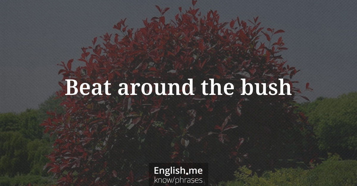 Explication de l'expression “Beat around the bush”