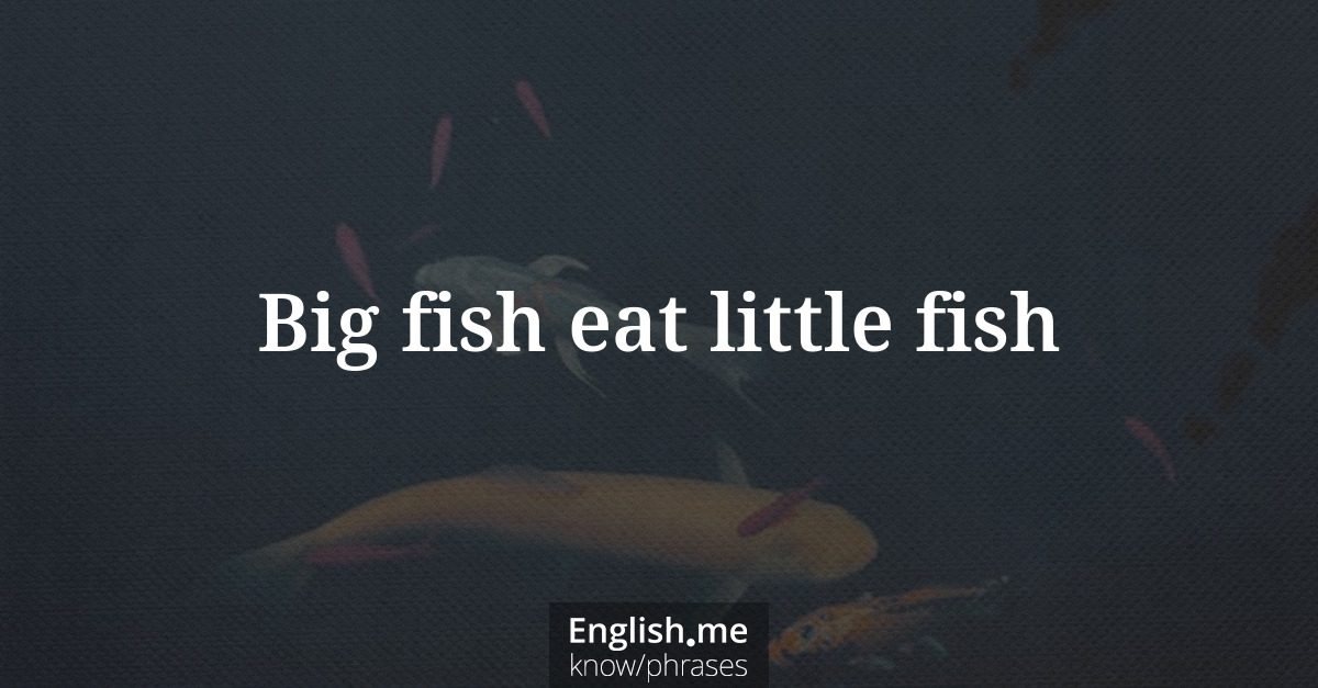 Explication de l'expression “Big fish eat little fish”
