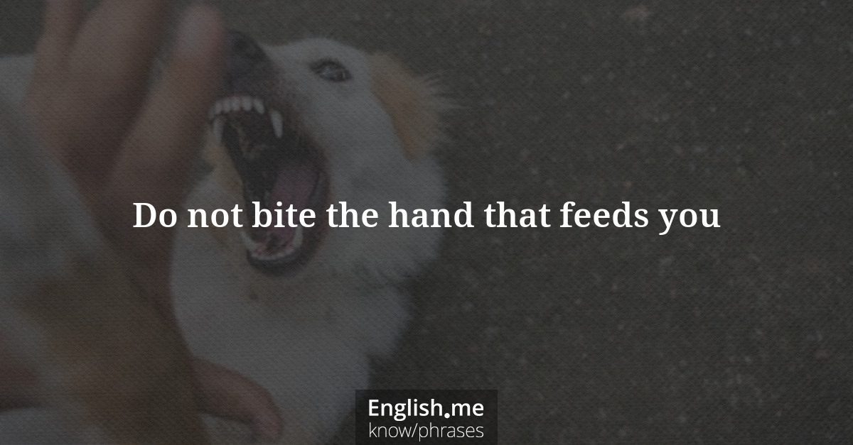Explication de l'expression “Do not bite the hand that feeds you”