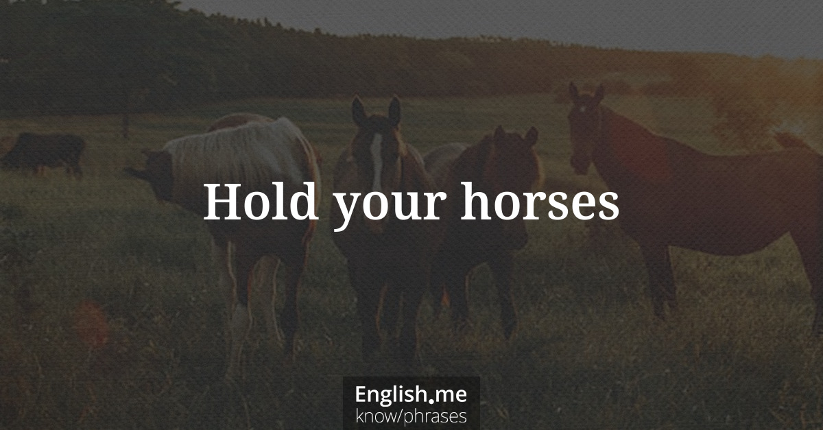 Explication de l'expression “Hold your horses”