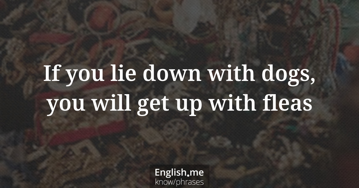 Explication de l'expression “If you lie down with dogs, you will get up with fleas”