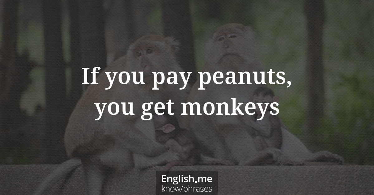Explication de l'expression “If you pay peanuts, you get monkeys”