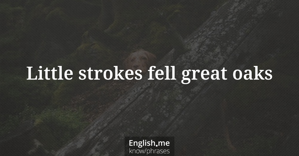 Little strokes fell great oaks Little strokes fell great oaks