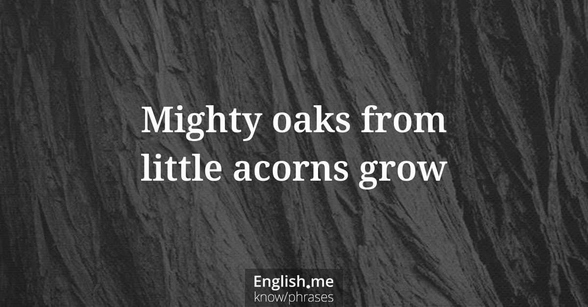 Mighty oaks from little acorns grow Mighty oaks from little acorns grow