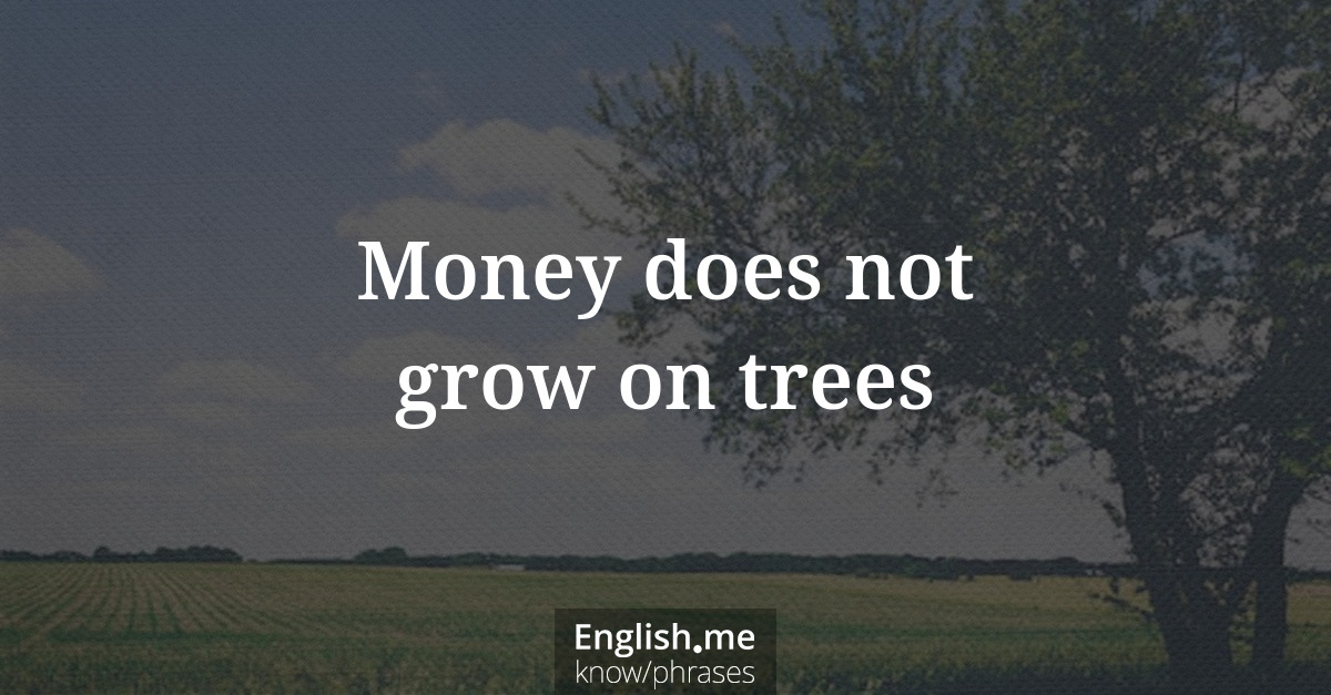 Explication de l'expression “Money does not grow on trees”