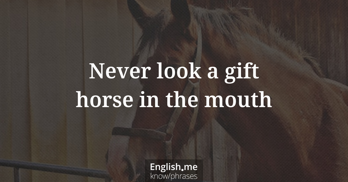 Explication de l'expression “Never look a gift horse in the mouth”