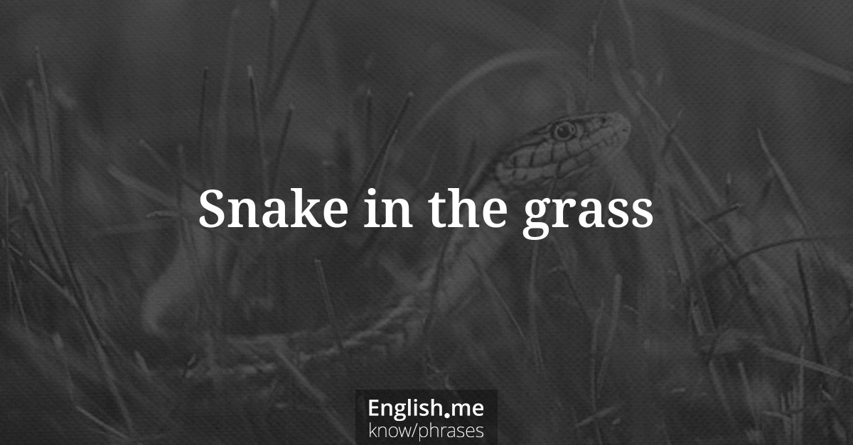 Explication de l'expression “Snake in the grass”