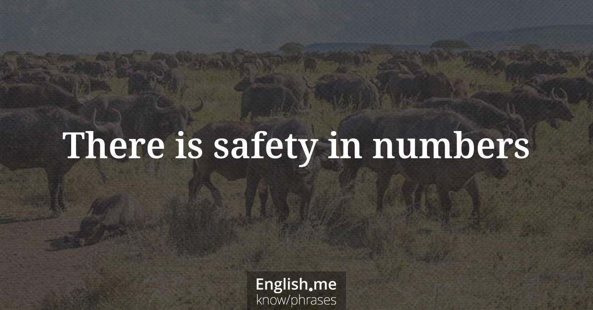 Explication de l'expression “There is safety in numbers”