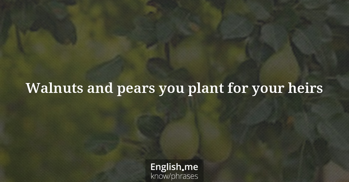 Explication de l'expression “Walnuts and pears you plant for your heirs”