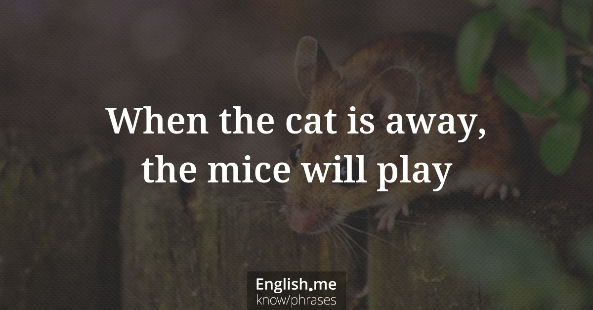 Explication de l'expression “When the cat is away, the mice will play”