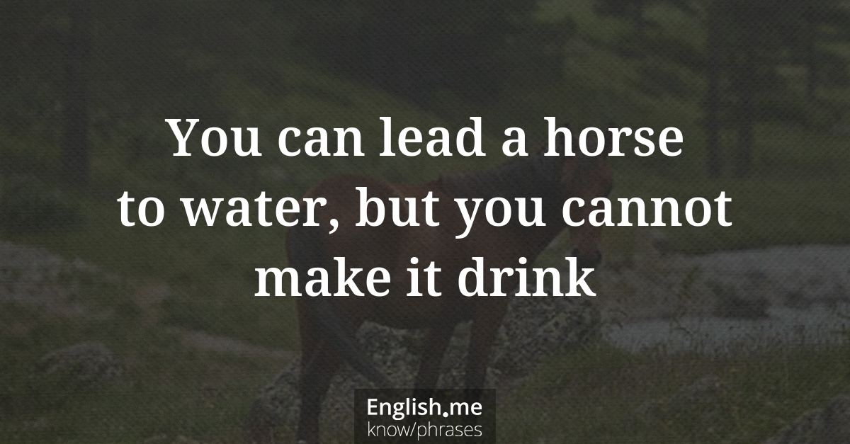 Explication de l'expression “You can lead a horse to water, but you cannot make it drink”